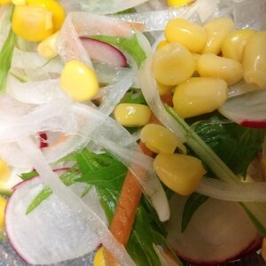 ラディッシュの葉っぱも食べよう 生野菜サラダ レシピ 作り方 By Fly To The Sky0985 楽天レシピ ラディッシュの葉っぱも食べよう 生野菜サラダ レシピ 作り方 By Fly To The Sky0985 楽天レシピ